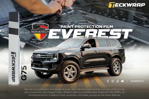 Dán PPF Ford Everest: Giải pháp bảo vệ tối ưu trước điều kiện vận hành tại Việt Nam